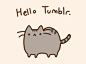 Pusheen the cat : =＾● ⋏ ●＾= Meow! I am Pusheen the cat. This is my blog. (more...)