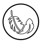 轻盈