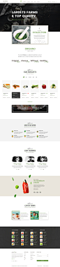 Origano - Organic Store Template : Origano - Organic Store Template