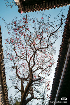 没逝问题不大采集到氛围场景