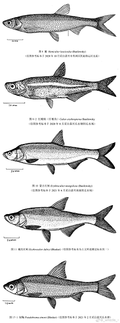 丶画匠采集到彩铅画