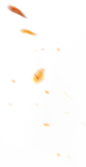 fire.png (344×666)