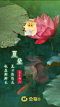 金猪夏至副本