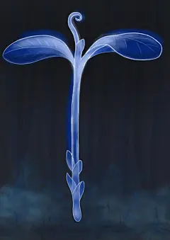 蓝银草 斗罗大陆