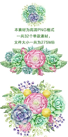 国外手绘水彩多肉植物叶子清新花园木牌等png格式设计素材-淘宝网