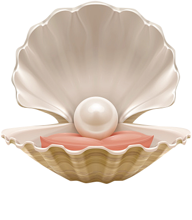 珍珠，贝壳