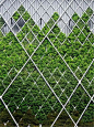 【建筑细节】绿植才是墙壁最美的肌理