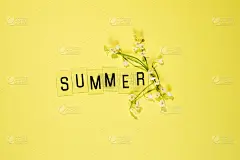 文字夏天从信件和田野洋甘菊花在黄色的背景。贺卡平铺拷贝空间概念你好夏季，夏季时间。
