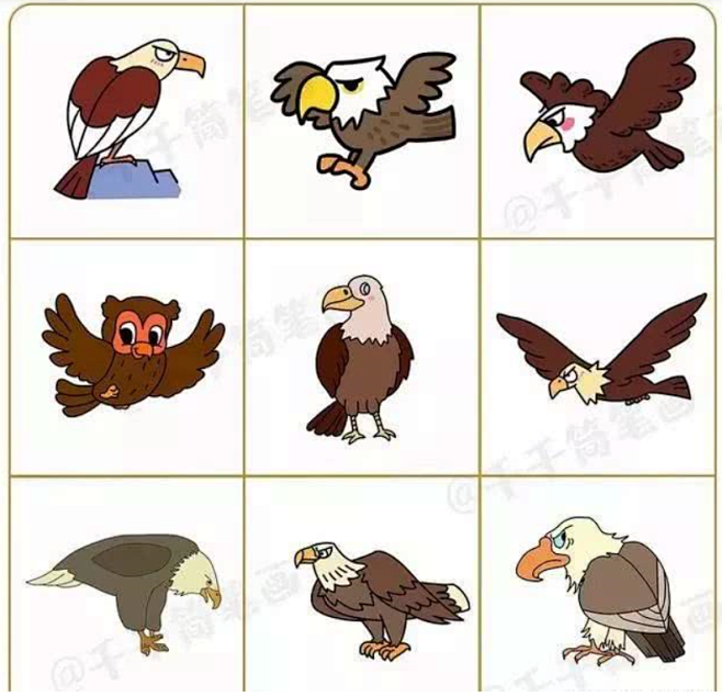 鹰简笔画