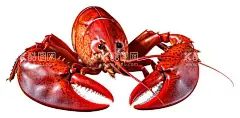 小龙虾美食  - 源文件下载【酷图网】小龙虾美食,手绘美食,海鲜美食,海鲜食物,海鲜餐,美味海鲜,水彩美食,水彩食物,小龙虾,手绘小龙虾,小龙虾插画,水彩小龙虾,卡通美食,美食插画,美食插图,美食png,食物,手绘食物,卡通食物,食物插画,食物插图,一碗美食,中国美食,中国食物,美味食物,餐饮,快餐,中餐