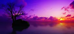 海上日落,天空,石头,树,剪影风景桌面壁纸_360图片