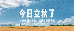 f8TYXH3w采集到C-Banner KV