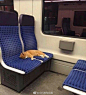 日夜颠倒工作十八个小时后，累倒在工作岗位的列车长 ​​​​