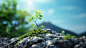 ls7623_Empty_background_product_photographyforest_style_blue_sk_e697c14d-0adf-4fd4-85eb-4f20453ef68f