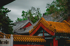 乌飞兔走-苏苕苕采集到前期美图