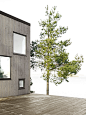 Guise create Villa Elgö, a modern lakeside cabin outside Stockholm | KNSTRCT