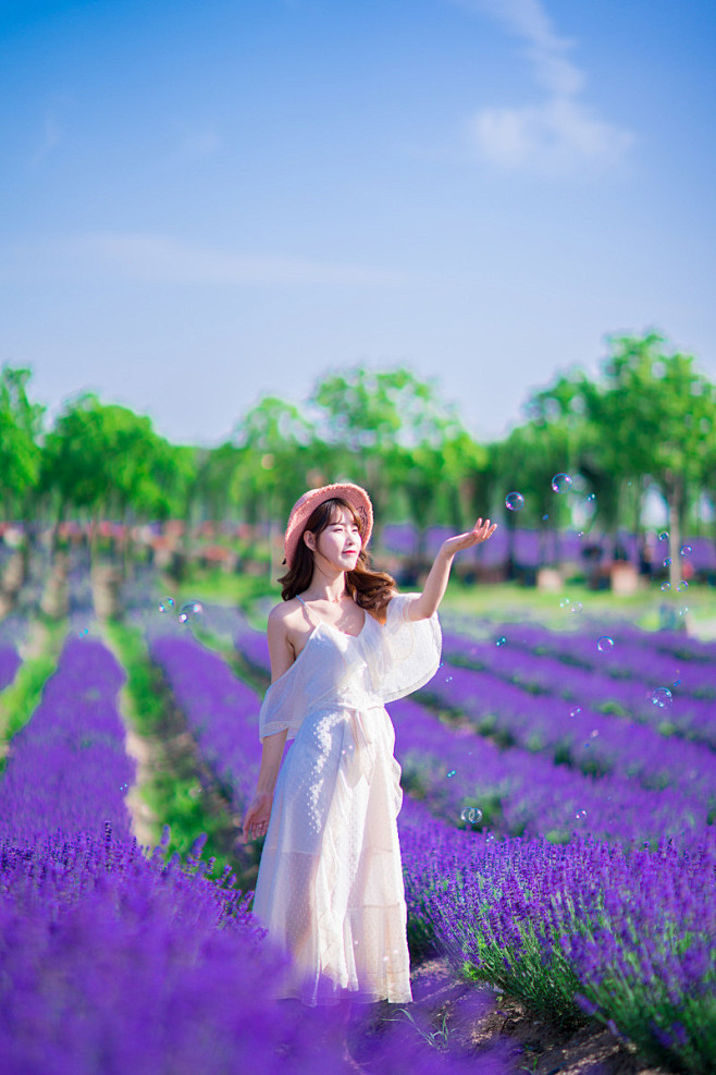 薰衣草之恋 - 玩拍照海天 - 图虫网 ...