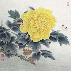 虎丘25采集到画画画