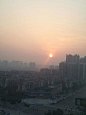 百度识图搜索结果