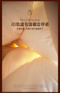 LANYANG/岚漾95白鹅绒冬被保暖羽绒被100支全棉加厚被子锁温被-tmall.com天猫