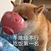 采集图片