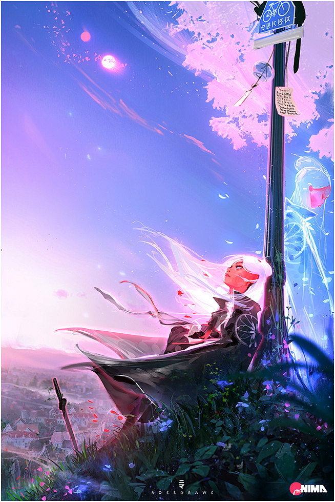 NIMA Solstice, Ross ...
