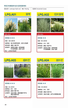 Luna-CC采集到A—植物万能公式