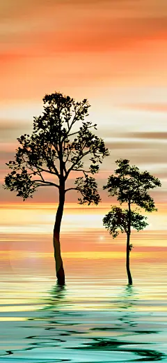 背景