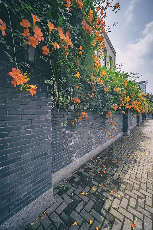 围墙,杭州,园艺,环境,环境保护图片ID...