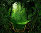 f14ebf30dacded9e43195050f78948672afeb53c456ca-JfPs0m_fw658
