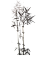 zu