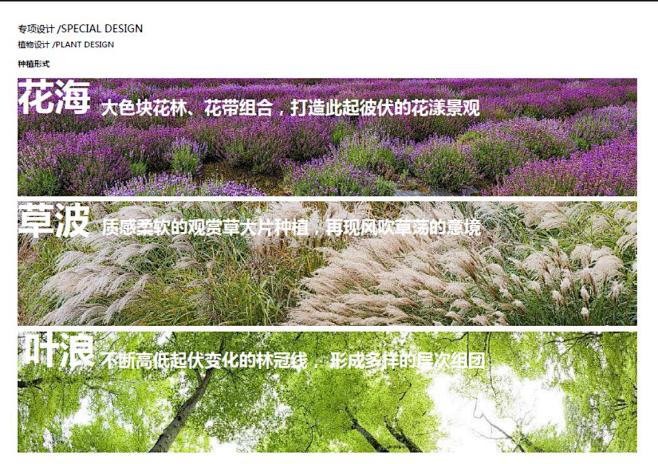 公园景观滨水湿地珠海横琴城市绿地设计PD...