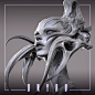 其中包括图片：DRYAD-森林女神, Panic L