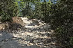 不丹虎窝寺的朝圣山路