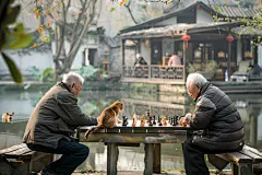 下棋的老人公益项目