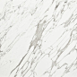 Calacatta Borghini Extra (Marble): 