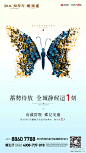 示范区开放倒计时01