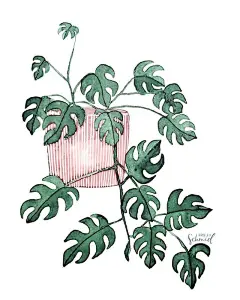 特别简单的一些植物系水彩小插画，简单到零基础的你也不怕！