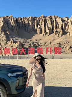 极光刺猬采集到临时