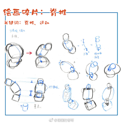 C0nEYHl3采集到胸腔和胯部