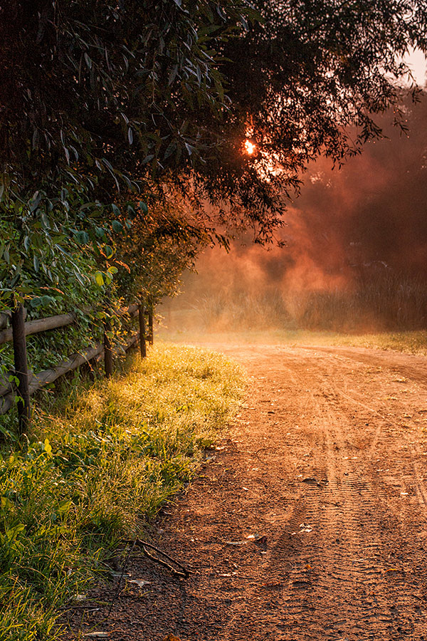(14) Tumblr