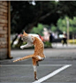:一只爱得瑟的猫