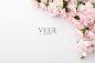 Pink carnation