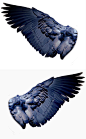 其中包含以下圖片：Wing design left and right