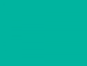 #00b5a0