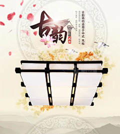 可妮Cony采集到灯饰首页详情页