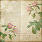 花朵复古欧式花纹信纸纹理背景图 背景 设计图片 免费下载 页面网页 平面电商 创意素材