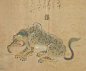 貘