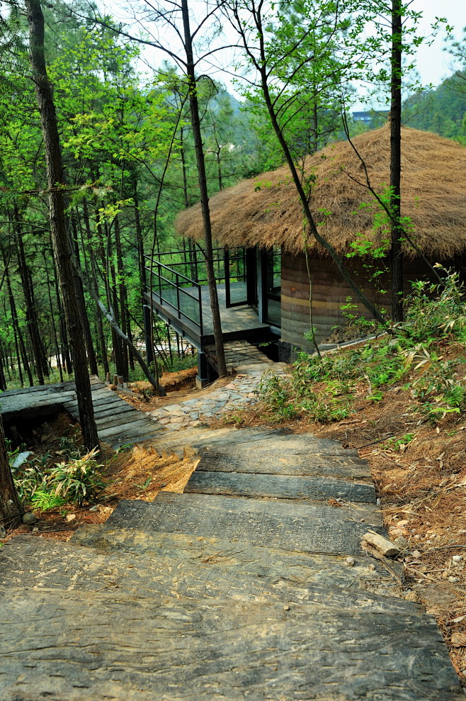意向概念用茅草屋
