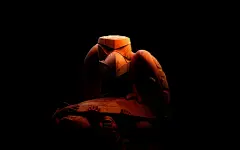 视觉的享受精美图片壁纸桌面壁纸1